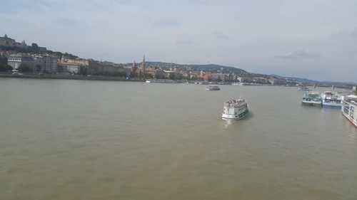 Le beau Danube... vert caca d'oie ?