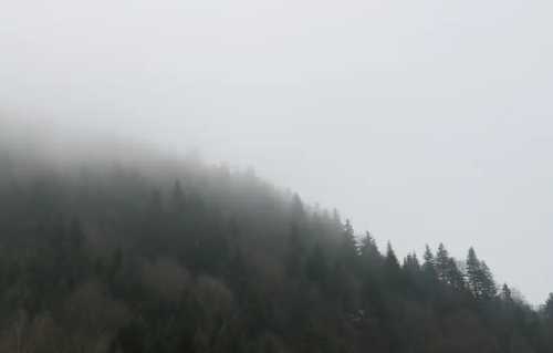 J'ADORE ce style de photos <3 Montagnes + arbres + brume.